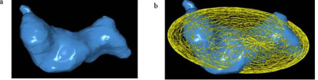 Fig. 4. (a) 3D view of a selected pore; (b) approximation of the pore by ellipsoid using the PCA method