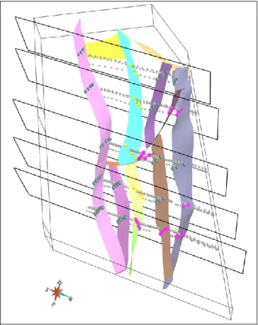 Fig. 13. The reference interpretation has been built from a full  3D  seismic  survey