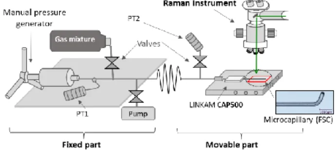 Figure 1: Sketch of the HPOC system coupled with a transparent  fused silica capillary (FSC) set on a Linkam CAP500  heating-cool-ing stage