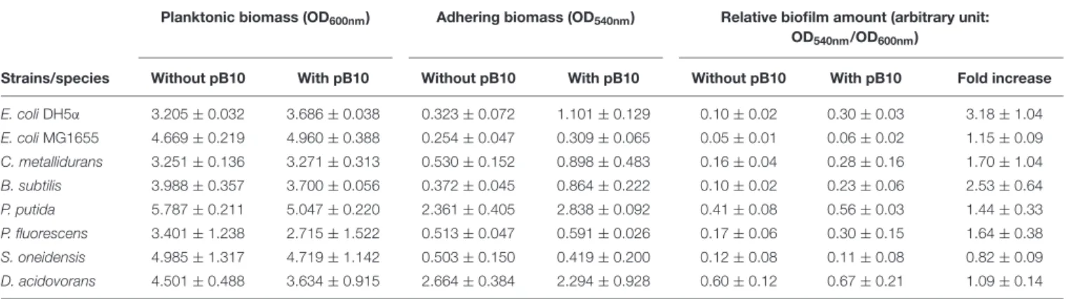TABLE 3 | Effect of pB10 carriage on bacterial adhesion properties.