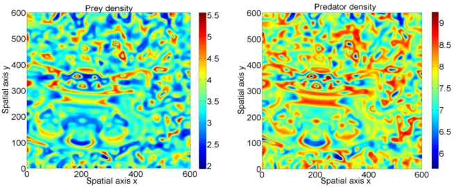 Fig. 6: Emergence of spatio-temporal chaos from Turing-Hopf-Andronov bifurcation, with a = 1.453, e = 0.32, d = 0.187 h = 0.0063, r = 2.05311579, m = 2.67.