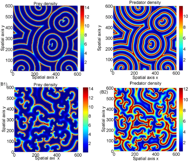 Fig. 2: Emergence of spiral waves in excitable media for D u = D v = 0.82. Figures 2 (A1)-(A2): m = 3.495 and r = 2.71807