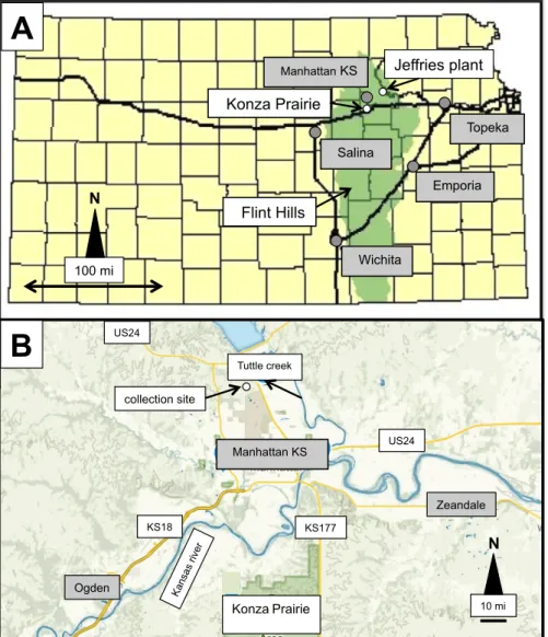 Figure 1: (A) The extend of the Flint Hills in Kansas and the locations of the Konza Prairie and the Jeffries power plant with the names of the nearby cities highlighted in grey (modified from  Reichman, 1991); (B) Locations of the Konza Prairie to the Sou