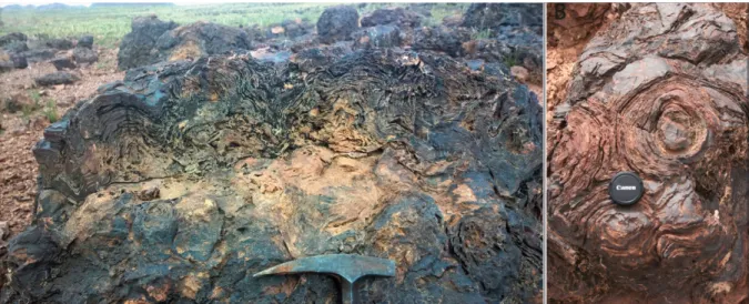 Fig. 2. – Stromatolites du Néoprotérozoïque terminal d'Amane n'Tourhart. À gauche :  biostrome stromatolitique de plus de 3 mètres d’épaisseur