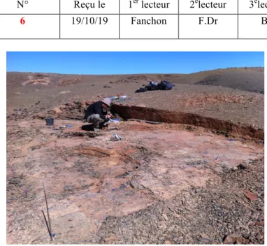 Fig. 3. – Chantier de fouilles dans les silts bleus de l'intervalle inférieur à préservation  exceptionnelle (Trémadocien supérieur)