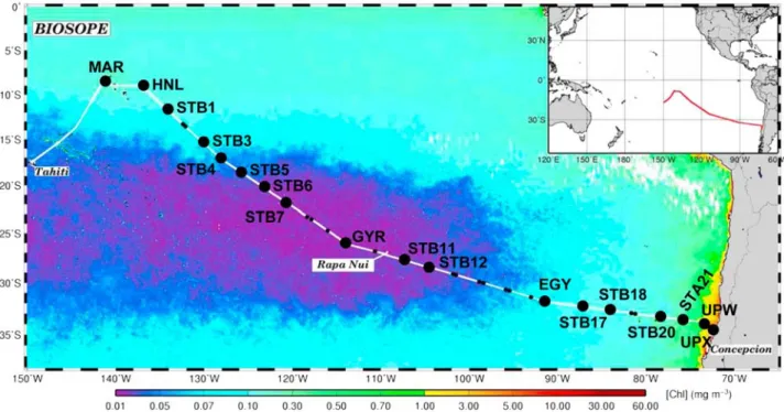 Figure 1. Map of the Biogeochemistry and Optics South Pacific Experiment (BIOSOPE) cruise track superimposed on a Sea-viewing Wide Field-of-view Sensor composite for November and December 2004 showing Chl a concentration in the upper layer