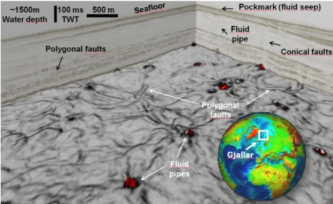 Fig. 1. The polygonal network in the Gjallar Basin (Norway)  from 3D seismic data, showing the relation with conical faults  and fluid pipes (Variance attribute)