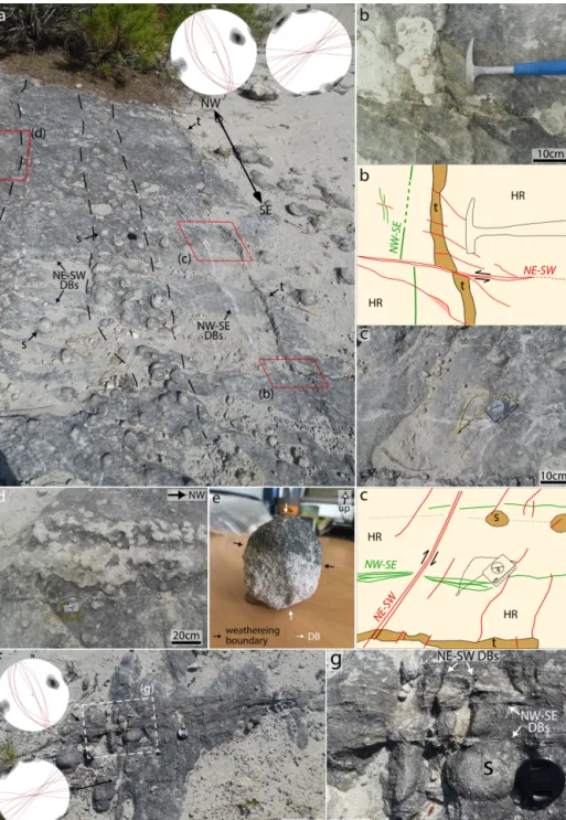 Figure 7. Calcite cement occurs isolated (a, c, g) or in clusters (a, d) of (S) spherical nodules and continuous (t) tabular nodules (a–c).