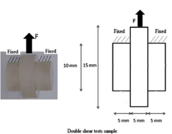 Figure 6. Sample and double shear experimental device.