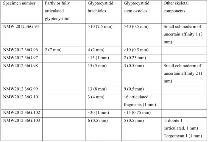 Table 1: Types, abundance and maximum sizes (diameter for stem ossicles, length for other  types) of skeletal grains in Echinokleptus anileis gen