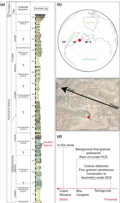 Figure 1. (Colour online) General geographical context of the Fezouata Shale. (a) Stratigraphic sequence of  the Fezouata Shale with the studied interval
