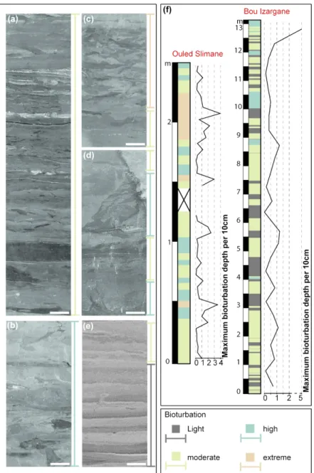 Figure 4. (Colour online) Drilled sedimentary rocks from Ouled Slimane and Bou Izargane