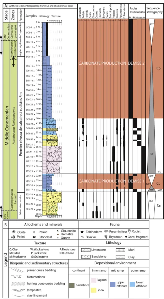 Fig. 5. A. Synthetic sedimentological log of the SC5 and SC6 borehole, facies associations, percentage of skeletal and non-skeletal elements, and sequence stratigraphy