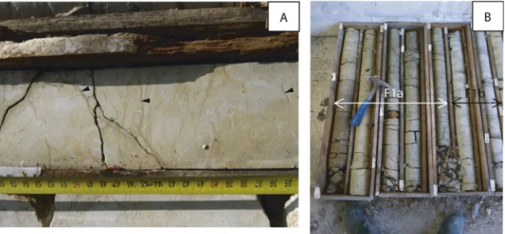 Fig. 7. A. Fine packstone with pellets (Pe), bivalves (Bi), and echinoderms (Ech) e F2a e Thin-section SC4-2 e Borehole SC4