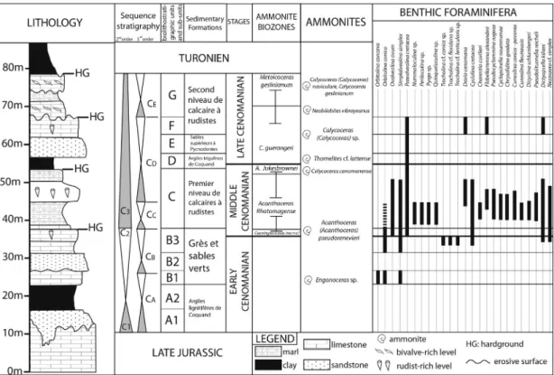 Fig. 3. Lithology (Moreau, 1996; Platel, 1996), sequence stratigraphy (Platel, 1996; Hardenbol et al., 1998), biostratigraphic units and sub-units (Moreau, 1993, 1996), ammonite fauna (Moreau et al., 1983; Platel, 1996) and foraminifer fauna (Moreau, 1996)