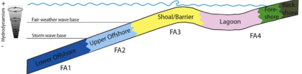 Fig. 4. Depositional model of the Cenomanian facies associations (FA) and its location from the lower offshore to backshore in the Aquitaine Basin.
