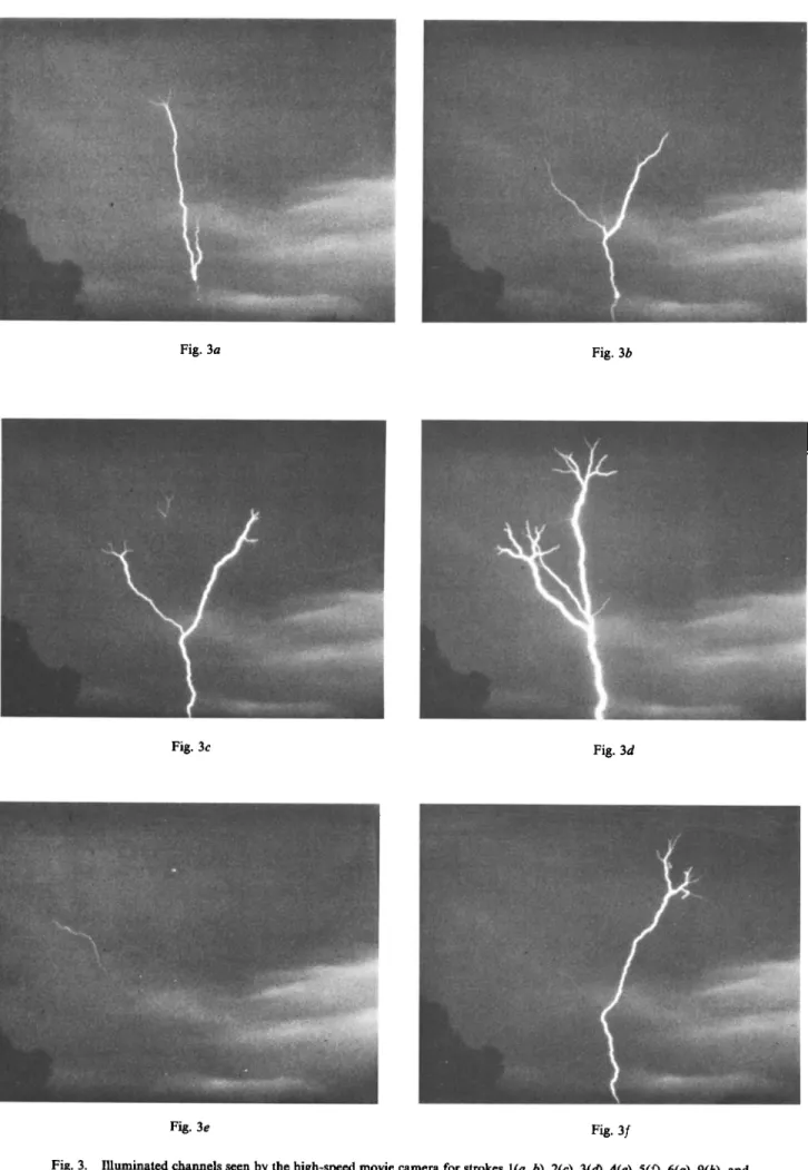 Fig. 3a  Fig. 3b 
