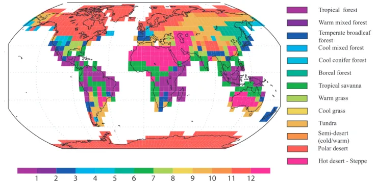Fig. 4. Estimated biomes in the LGM simulation. See Sect. 2.3 for the method of estimation.