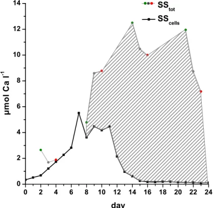 Fig. 4. Development of the CaCO 3 standing stocks (1x, 2x, and 3x) in the three mesocosm bags as in Fig