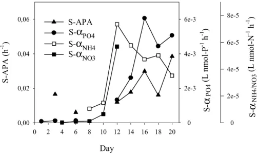 Fig. 2. APA and affinity for PO 3− 4 uptake, and affinity for NO − 3 and NH + 4 uptake, normalized for the summed P-biomass of phytoplankton and bacteria and the summed N-biomass of  phyto-plankton and bacteria, respectively.
