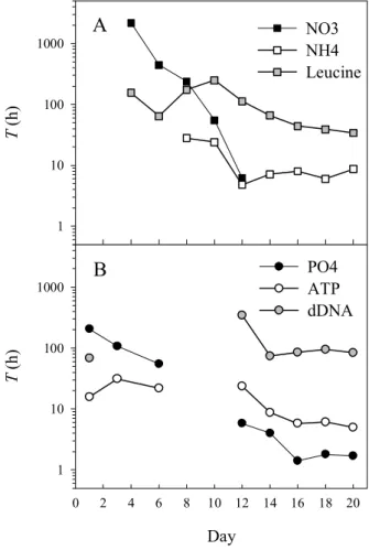 Fig. 3. Turnover times (logarithmic scale) of (A) N-substrates and (B) P-substrates.