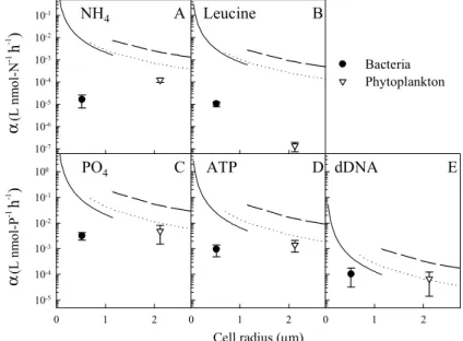 Fig. 6. Comparison of the mean estimated biomass-specific a ffi nity values during the N-limited phase ( ± SD, n=5) of phytoplankton and bacteria vs
