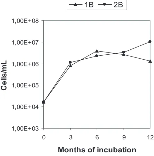 Fig. 1. Cell concentration in the liquid phase of the two oxic microcosms 1B (with CH 4 ), and 2B (with acetate), determined by DAPI staining and fluorescence microscopy.