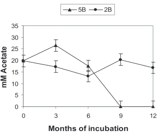 Fig. 4. Acetate consumption in microcosms 2B (aerobe with acetate) and 5B (anaerobe with acetate)