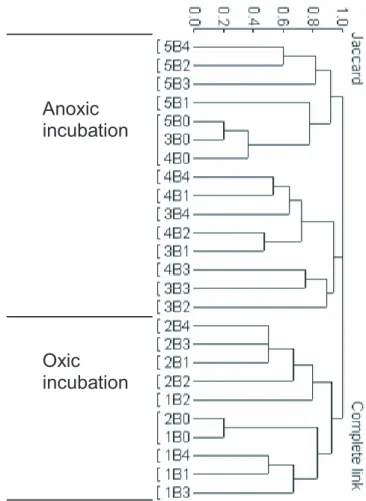 Fig. 7. Clustering of samples based band patterns from the DGGE gel in Fig. 6. The sample names are constructed with microcosm name followed by sampling number