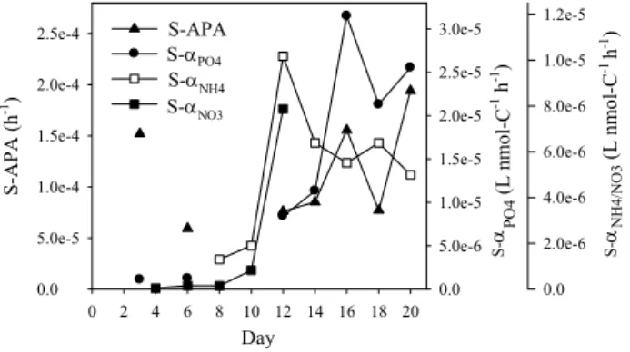 Fig. 1. Ambient concentrations of DIN (a), SRP (b) and the DIN:SRP molar ratio (c) through the course of the experiment.