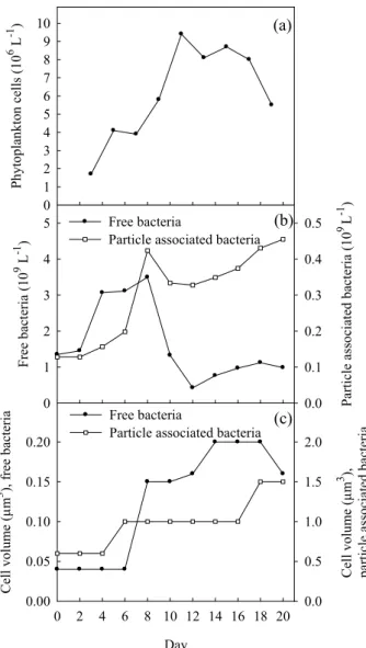 Fig. 3. Abundances of phytoplankton (a). Abundances (b) and size (c) of free and particle associated bacteria
