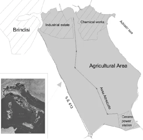 Fig. 1. The site, underlined in grey, is delimited to the north by the city of Brindisi, to the south by the “Cerano Power Station”, to the east by the Adriatic Sea and to the west by highway 613 connecting Lecce to Brindisi.