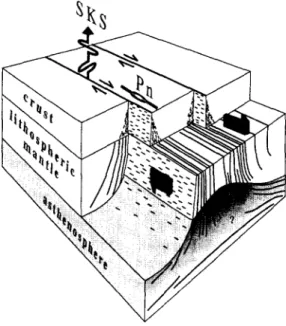 Figure  1.  ldealized  representation  of a  lithospheric-scale  shear  zone. 