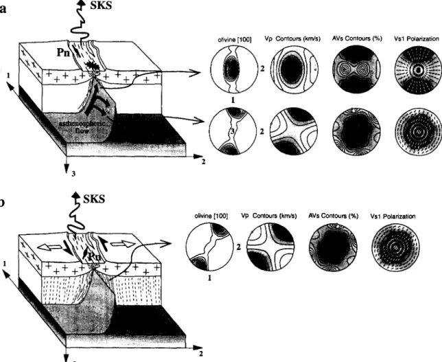 Figure 3. a: Nicolas et al (1994) model of rifting suggests a lithospheric rupture and therefore restricted lithospheric deformation