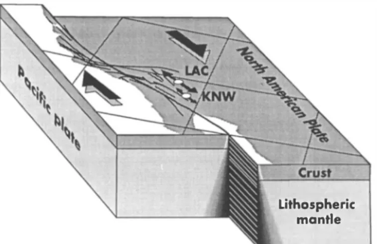 Fig. 9. Schematic block diagram of the San Andreas fault area showing the close relationship between the fault and the anisotropy  orientation at the  LAC and KNW seismic stations