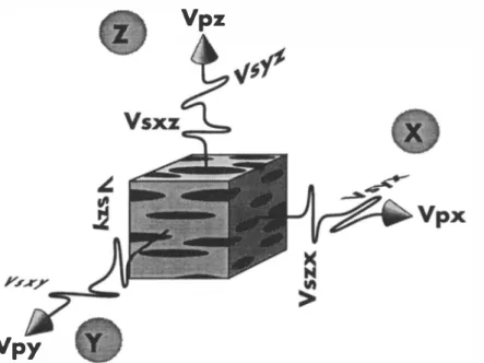 Fig.  1.  Schematic diagram showing the orientations of P- and S-wave velocity measurements  in the  structural reference frame  (X,  Y,  Z)  on  a  cube-shaped  specimen