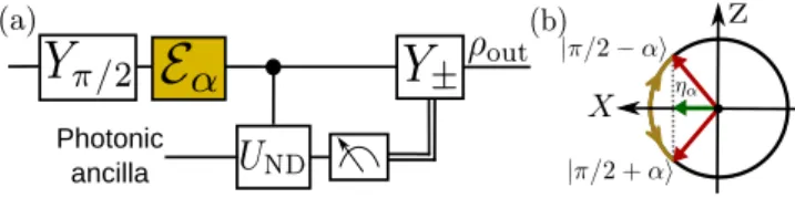 FIG. 1: (Color online) (a) Scheme of the feedback sequence for a binary RCR. An initial rotation Y π/ 2 prepares a  coher-ent superposition which later undergoes a random collective rotation E α 