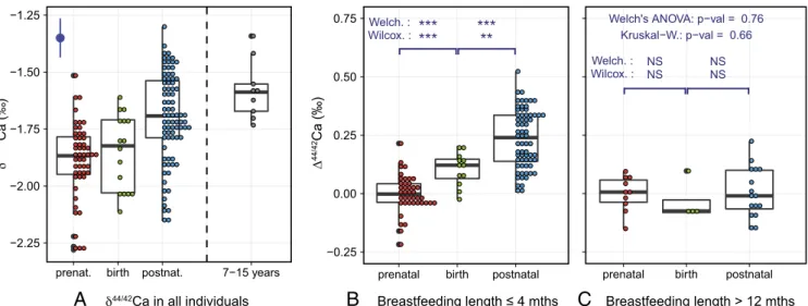Fig. 1. (A) Box plot of δ 44/42 Ca values (per mil, ICP Ca Lyon) in enamel sorted by development stage categories for all individuals, corresponding to prenatal devel- devel-opment period, birth, postnatal develdevel-opment period, and wisdom teeth enamel 