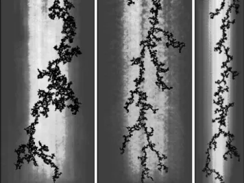 Fig. 1 – Invasion clusters on thresholded images at capillary numbers Ca = 0.06 (a) and 0.22 (b,c), for W/a = 210 (a,b)and 110 (c), with displayed system lateral boundaries