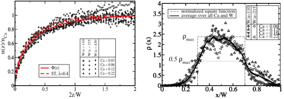 Fig. 2 – Scaled invader’s density, after projections along directions parallel or perpendicular to the average flux, as function of reduced coordinates scaled by the system width W 