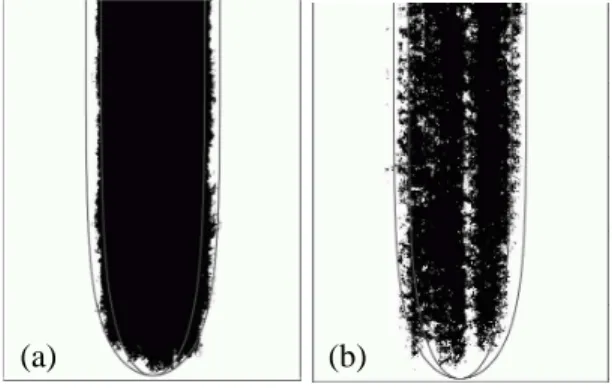 Fig. 3 – (a) Average occupation density map of the invader thresholded at half-maximum, for a system size W/a=215, in the reference frame attached to the tip position, at Ca = 0.06 (a) and 0.22 (b), compared to ST curves for λ = 0.35 and 0.45.