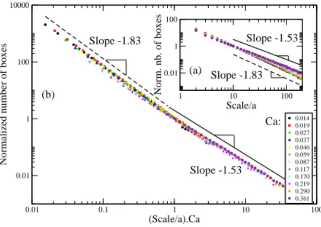 Fig. 4 – Small and large scale fractal dimension of the invasion cluster at various capillary numbers, determined by box-counting