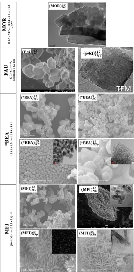 Figure 2. Scanning electron microscopy and transmission electronic images of commercial,  modified and synthesized zeolites