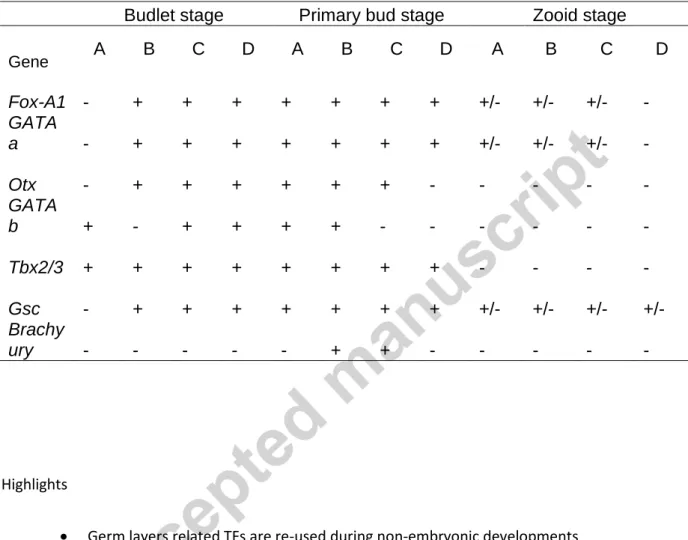 Table 1: Transcription factor expression through palleal bud development 