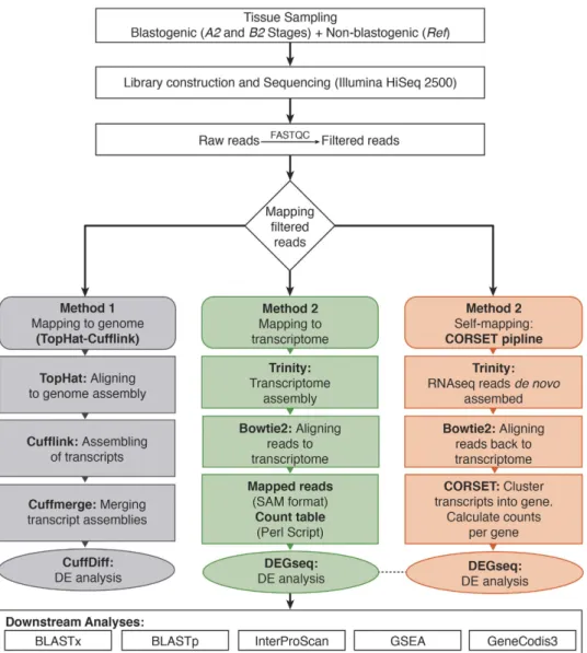 Figure 2.  Analysis workflow A schematic overview summarizing different steps followed along with  corresponding software component
