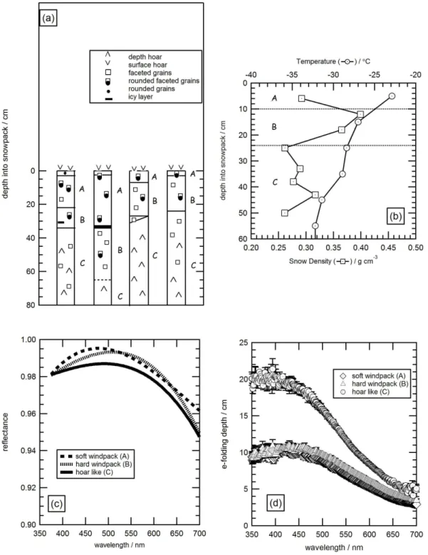 Fig. 1. (a) Snowpack stratigraphy measurements from four snowpacks at/near Dome C between 19 December 2009 and 13 January 2010 to demonstrate the uniformity of the snowpack in the area, symbols used from the International classification of snow on the grou