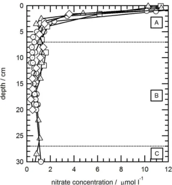 Fig. 2. Measured snowpack nitrate concentrations at Dome C from two sites during December 2009 to January 2010