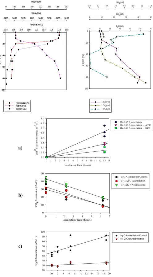 Fig. 5. Profiles of hydrographic and oceanographic conditions in the water column at the time of the experiment (MI-LOCO cruise, January 2009) Below time course experiments showing different treatments (control, ATU and GC7-amended incubations): (a) dark c