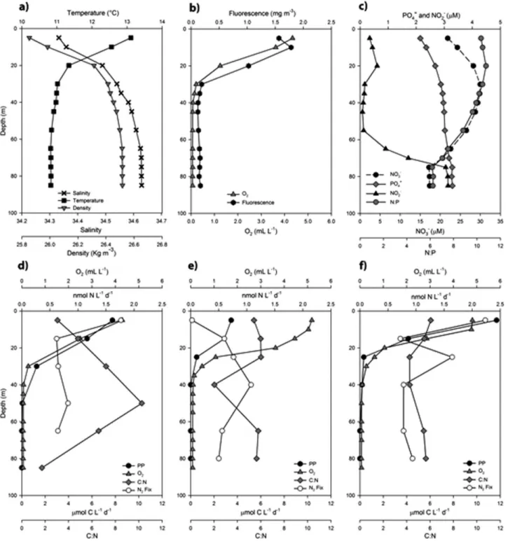 Figure 6. Depth proﬁles of hydrographic, N 2 ﬁxation, dissolved oxygen, primary production, and C:N ratio features of water column during the MOOMZ4 campaign.