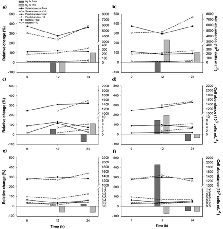 Figure 7. Experiments of N 2 ﬁxation during MOOMZ4 using DOM amendments. Vertical bars represent the percentage of change in N 2 ﬁxation rates with respect to the control treat- treat-ment (without DOM addition)